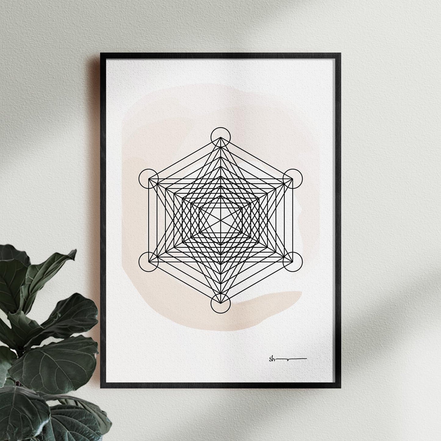 Pure Geometry