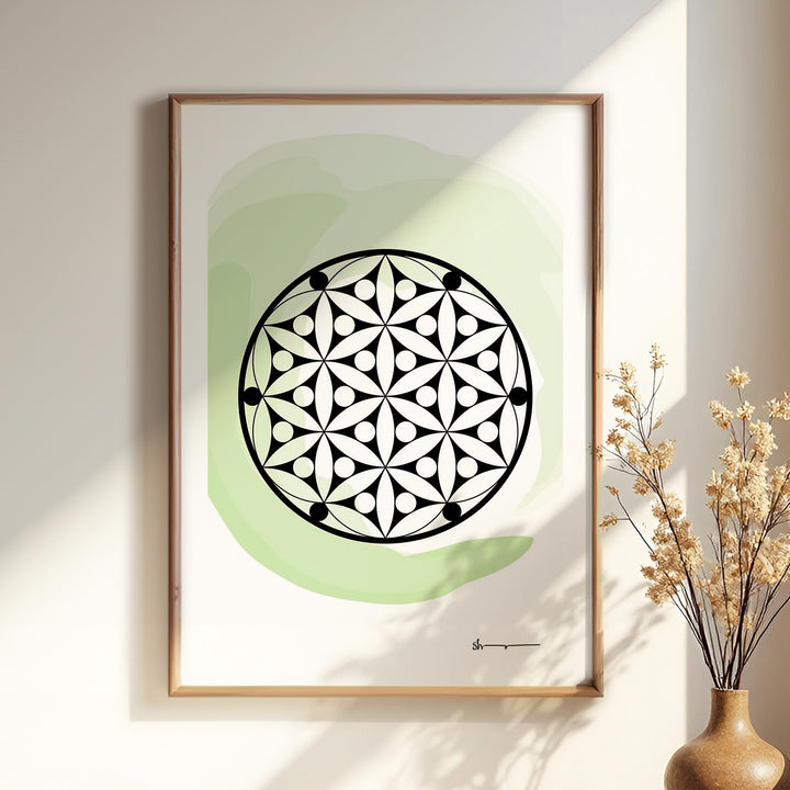 Flora