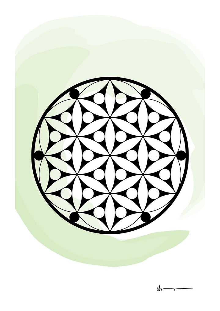 Flora